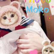 ヒメ日記 2025/03/20 14:15 投稿 もこ ときめき女学院