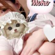 ヒメ日記 2025/04/03 14:08 投稿 もこ ときめき女学院