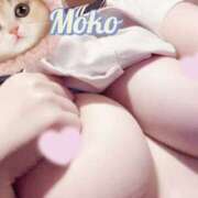 ヒメ日記 2025/05/15 14:10 投稿 もこ ときめき女学院