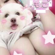 ヒメ日記 2025/07/29 14:28 投稿 もこ ときめき女学院