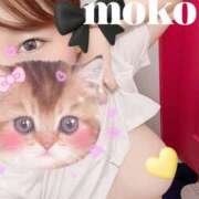 ヒメ日記 2025/09/20 17:13 投稿 もこ ときめき女学院