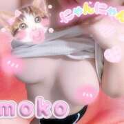 ヒメ日記 2025/09/25 23:24 投稿 もこ ときめき女学院