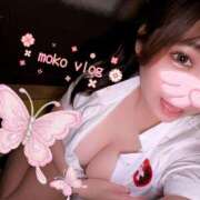 ヒメ日記 2026/04/03 13:17 投稿 もこ ときめき女学院