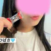 ヒメ日記 2025/11/11 17:40 投稿 翼　つばさ（38） 出会い系人妻ネットワーク 熊谷編