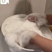 ヒメ日記 2026/05/30 20:01 投稿 翼　つばさ（38） 出会い系人妻ネットワーク 熊谷編