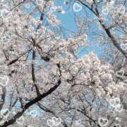 ヒメ日記 2025/04/06 11:45 投稿 しおん あるまぎ！