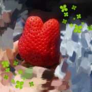 ヒメ日記 2025/04/12 11:56 投稿 しおん あるまぎ！