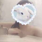 ヒメ日記 2025/04/16 01:08 投稿 しおん あるまぎ！