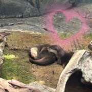 ヒメ日記 2025/04/20 11:51 投稿 しおん あるまぎ！