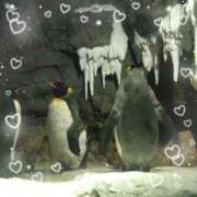 ヒメ日記 2025/05/10 11:46 投稿 しおん あるまぎ！