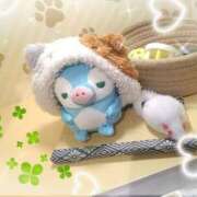 ヒメ日記 2025/06/09 11:55 投稿 しおん あるまぎ！