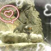 ヒメ日記 2025/07/20 11:51 投稿 しおん あるまぎ！