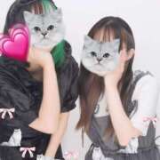 ヒメ日記 2025/08/23 11:55 投稿 しおん あるまぎ！