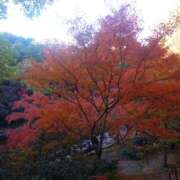 ヒメ日記 2025/11/25 11:48 投稿 しおん あるまぎ！