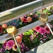 ヒメ日記 2025/03/07 10:21 投稿 新人きよみ 石巻 奥様食堂