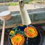 ヒメ日記 2025/03/25 21:21 投稿 新人きよみ 石巻 奥様食堂