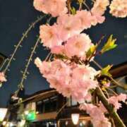 ヒメ日記 2025/04/08 22:21 投稿 新人きよみ 石巻 奥様食堂