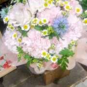 ヒメ日記 2025/05/13 10:21 投稿 新人きよみ 石巻 奥様食堂