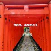 ヒメ日記 2025/05/27 08:51 投稿 新人きよみ 石巻 奥様食堂