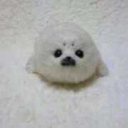 りん しゅ✨ お姉さんSelect