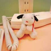 ヒメ日記 2025/03/16 01:01 投稿 まこ☆期間限定 新潟長岡ちゃんこ