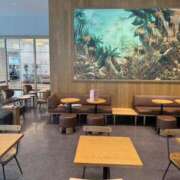 ヒメ日記 2025/11/08 13:24 投稿 イチカ ファーストレディー