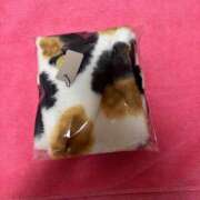 ヒメ日記 2025/12/07 13:29 投稿 イチカ ファーストレディー