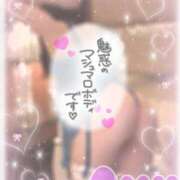 あゆ ヤニカスパチカスの三毛猫だにゃん💓 Sakura Spa