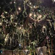 ヒメ日記 2025/07/13 01:12 投稿 神楽木　みこと アムアージュ