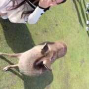 ヒメ日記 2025/11/03 15:02 投稿 神楽木　みこと アムアージュ