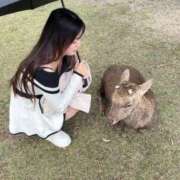 ヒメ日記 2025/11/05 11:22 投稿 神楽木　みこと アムアージュ