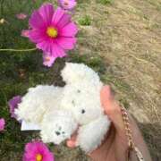 ヒメ日記 2025/10/30 09:36 投稿 ゆき【名古屋店から特別出勤‼】 THE ESUTE HOUSE 柴田