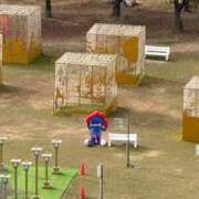 ヒメ日記 2026/01/31 23:46 投稿 ゆき【名古屋店から特別出勤‼】 THE ESUTE HOUSE 柴田