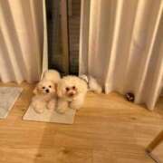 ヒメ日記 2026/02/03 11:56 投稿 ゆき【名古屋店から特別出勤‼】 THE ESUTE HOUSE 柴田