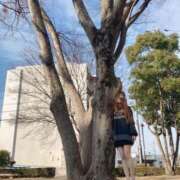 ヒメ日記 2025/02/12 12:29 投稿 ここあ【池下店から特別出勤‼】 THE ESUTE HOUSE 柴田