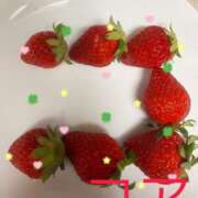 ヒメ日記 2025/03/08 07:29 投稿 ここあ【池下店から特別出勤‼】 THE ESUTE HOUSE 柴田