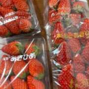 ヒメ日記 2025/03/10 16:54 投稿 ここあ【池下店から特別出勤‼】 THE ESUTE HOUSE 柴田