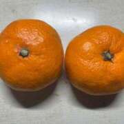 ヒメ日記 2025/03/17 06:39 投稿 ここあ【池下店から特別出勤‼】 THE ESUTE HOUSE 柴田