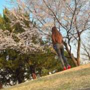 ヒメ日記 2025/03/23 09:29 投稿 ここあ【池下店から特別出勤‼】 THE ESUTE HOUSE 柴田