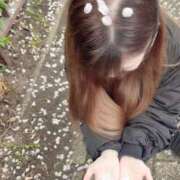 ヒメ日記 2025/04/07 20:29 投稿 ここあ【池下店から特別出勤‼】 THE ESUTE HOUSE 柴田