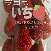 ヒメ日記 2025/04/08 00:59 投稿 ここあ【池下店から特別出勤‼】 THE ESUTE HOUSE 柴田