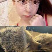 ヒメ日記 2025/06/23 06:50 投稿 ここあ【池下店から特別出勤‼】 THE ESUTE HOUSE 柴田