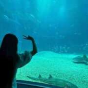 ヒメ日記 2025/06/23 13:50 投稿 ここあ【池下店から特別出勤‼】 THE ESUTE HOUSE 柴田