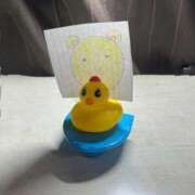 ヒメ日記 2025/07/03 05:00 投稿 ここあ【池下店から特別出勤‼】 THE ESUTE HOUSE 柴田