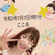 ヒメ日記 2025/07/07 07:10 投稿 ここあ【池下店から特別出勤‼】 THE ESUTE HOUSE 柴田