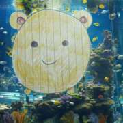 ヒメ日記 2025/08/01 22:56 投稿 ここあ【池下店から特別出勤‼】 THE ESUTE HOUSE 柴田