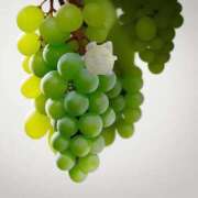 ヒメ日記 2025/09/15 20:06 投稿 ここあ【池下店から特別出勤‼】 THE ESUTE HOUSE 柴田