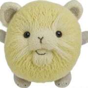 ヒメ日記 2025/09/17 20:46 投稿 ここあ【池下店から特別出勤‼】 THE ESUTE HOUSE 柴田