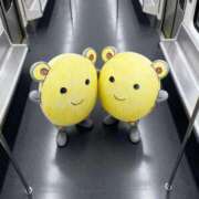 ヒメ日記 2025/10/11 20:46 投稿 ここあ【池下店から特別出勤‼】 THE ESUTE HOUSE 柴田