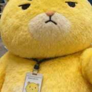 ヒメ日記 2025/11/11 20:56 投稿 ここあ【池下店から特別出勤‼】 THE ESUTE HOUSE 柴田